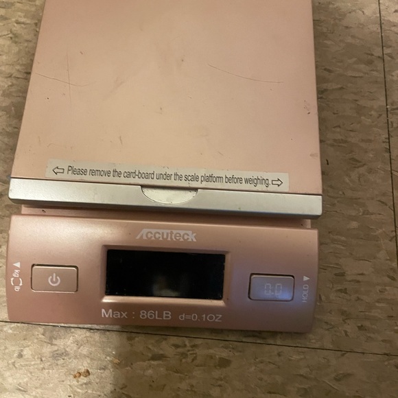 Small pink scale - Picture 4 of 7
